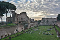 le Forum